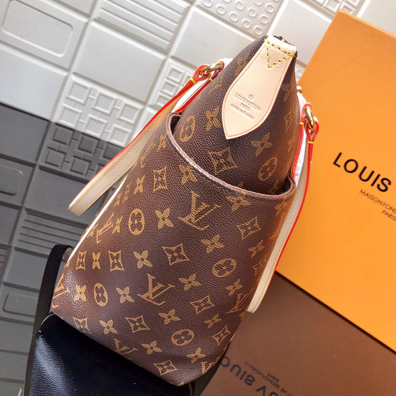 LV Bag